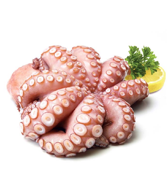 Polpo intero