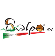 Logo Salpa