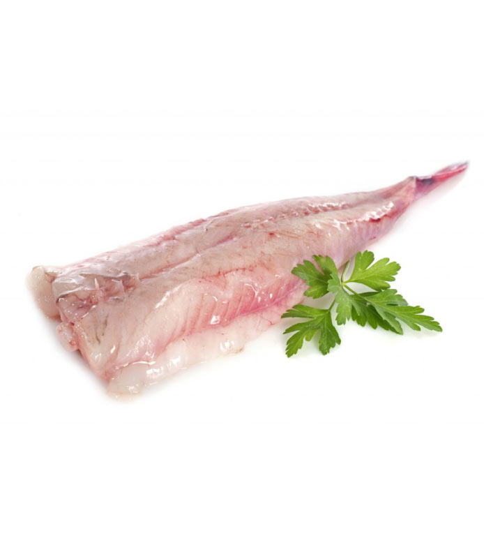 Rana pescatrice o coda di rospo