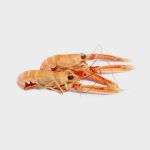 scampi surgelati