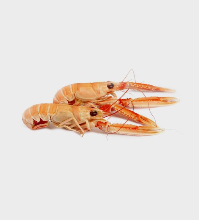 scampi surgelati