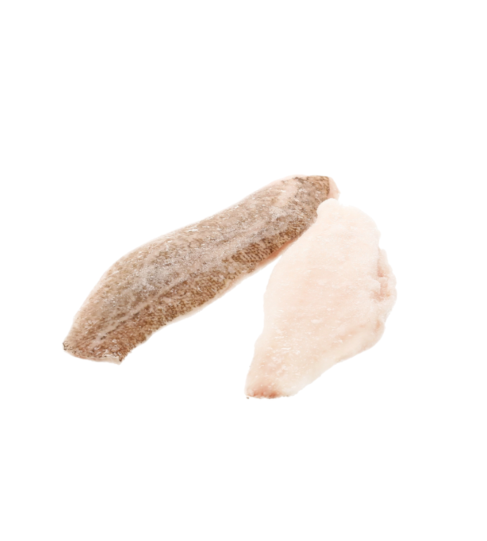 Filetta di cernia surgelato